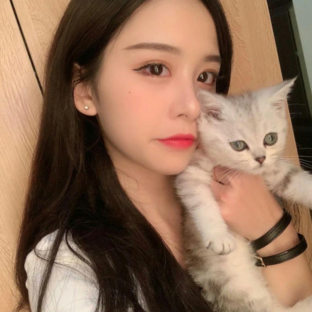 bob·体育综合app